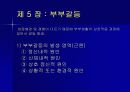 [결혼과가족]바람직한 부부관계의 모색 36페이지