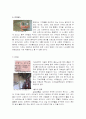 중국의 교통문화 6페이지