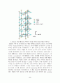 차세대반도체중 FRAM,MRAM,PRAM에 대하여 24페이지