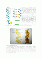 생활화학 DNA 3페이지