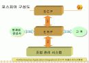 지식경영 사례 분석 - 포스코 사례 (PI, EP, 6시그마 포함) - PI 도입배경, 포스코 PI의 예상성과, 포스피아 제작 방향, 성공이유, 포스피아 가동 후 성과 13페이지