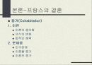 동서양의 결혼문화 비교 (한국과 프랑스의 결혼식과 양국의 문화) 한국의 결혼, 프랑스의 결혼 12페이지