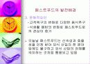 패스트푸드에 대한 이해와 문제점 해결방안 5페이지