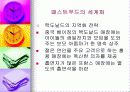 패스트푸드에 대한 이해와 문제점 해결방안 8페이지