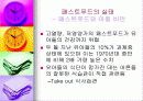 패스트푸드에 대한 이해와 문제점 해결방안 13페이지