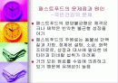 패스트푸드에 대한 이해와 문제점 해결방안 19페이지
