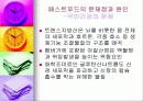 패스트푸드에 대한 이해와 문제점 해결방안 20페이지