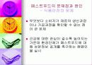 패스트푸드에 대한 이해와 문제점 해결방안 23페이지