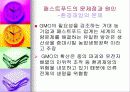 패스트푸드에 대한 이해와 문제점 해결방안 24페이지