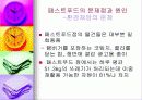 패스트푸드에 대한 이해와 문제점 해결방안 26페이지