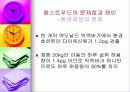 패스트푸드에 대한 이해와 문제점 해결방안 27페이지