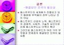 패스트푸드에 대한 이해와 문제점 해결방안 28페이지