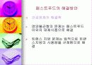 패스트푸드에 대한 이해와 문제점 해결방안 29페이지