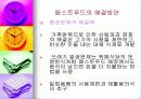 패스트푸드에 대한 이해와 문제점 해결방안 31페이지