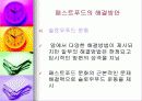 패스트푸드에 대한 이해와 문제점 해결방안 32페이지