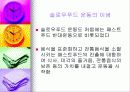 패스트푸드에 대한 이해와 문제점 해결방안 33페이지