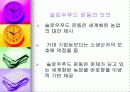 패스트푸드에 대한 이해와 문제점 해결방안 34페이지