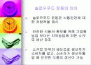 패스트푸드에 대한 이해와 문제점 해결방안 35페이지