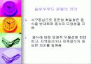 패스트푸드에 대한 이해와 문제점 해결방안 37페이지