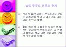 패스트푸드에 대한 이해와 문제점 해결방안 39페이지