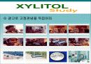 롯데자일리톨 마케팅 성공사례 23페이지
