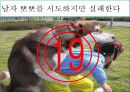 결혼과 가족 스킨쉽에 대한 남녀의 생각 5페이지