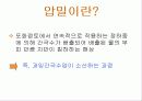압밀시험-발표자료 3페이지