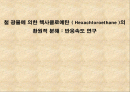 반응속도론 1페이지