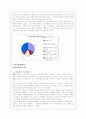 미샤의 마케팅 전략분석(A+레포트) 12페이지