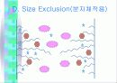 HPLC이론및 실험법 25페이지