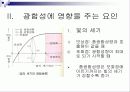 광합성(Photosynthesis)에 관해 4페이지