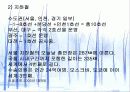교통문제 11페이지