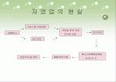 소상공인 지원제도 14페이지