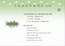 소상공인 지원제도 20페이지