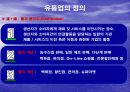 [PPT] 유통업에 대한 이해와 취업전략 10페이지