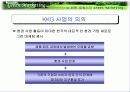 그린 마케팅 발표자료 19페이지