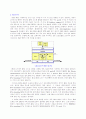 IPv6 정보통신망 레포트 10페이지