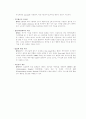 IPv6 정보통신망 레포트 14페이지