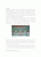 한국의 전통색과 활용방안 9페이지
