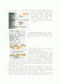 DNA 복제에 관해서 2페이지