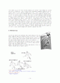 스키에 대하여 15페이지