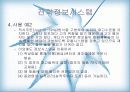 전략정보시스템 13페이지