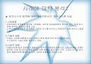 전략정보시스템 18페이지