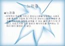 전략정보시스템 21페이지