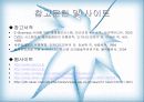 전략정보시스템 22페이지