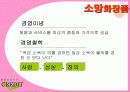 마케팅 사례분석- 뷰티 크래딧( ppt + 요약자료 첨부) 3페이지