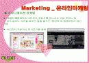 마케팅 사례분석- 뷰티 크래딧( ppt + 요약자료 첨부) 17페이지