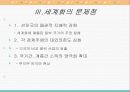 세계화의 부정적 측면 7페이지