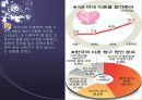 결혼 및 이혼의 원인과 문제점 및 해결방안 14페이지