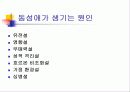 (성서와 동성애) 동성애에 대한 기독교 윤리적 고찰 6페이지